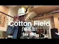 Download Lagu Cotton Field棉花田/2022/05/01/墨爺（Eb)