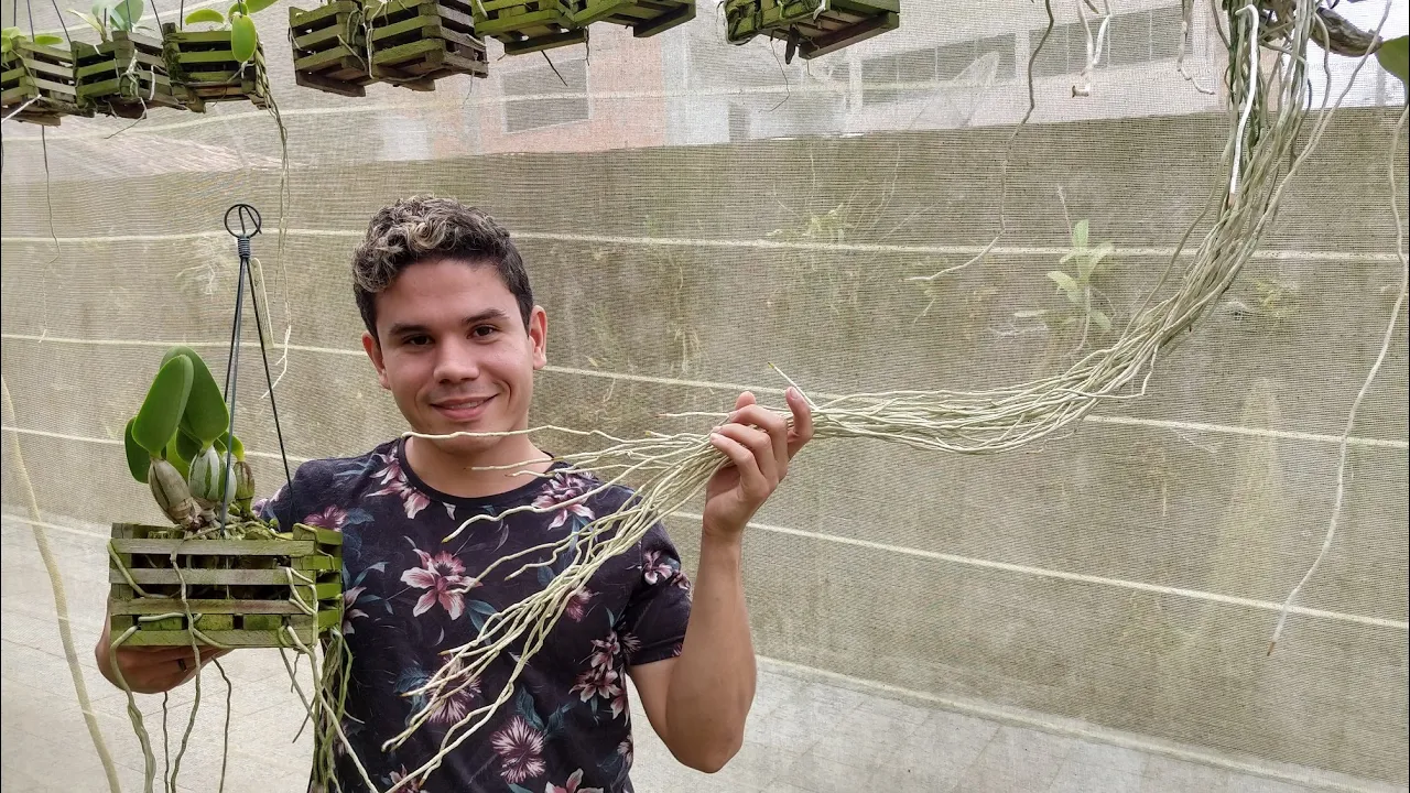ENRAIZAMENTO E ADUBO PARA ORQUÍDEAS TEDESCO