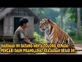 Lagu HARIMAU DATANG MEMINTA TOLONG KEPADA PEMUDA PENCARI DAUN PISANG, LIHAT KEAJAIBAN BESAR INI TERJADI