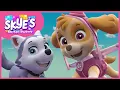 Download Lagu Come Fly Away With Me! - Skye's Music Party - PAW Patrol Music Video