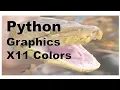 590 - Python X11 Colors Graphics