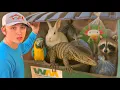Download Lagu I Found Live Animals in a Pet Store Dumpster!