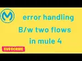 Error Handling Between Main Flow and Child Flow Mule 4 Mulesoft