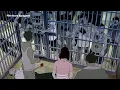 Download Lagu How the zombie virus really broke out in Busan, and this movie finally gives the answer