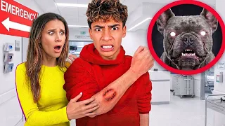 GUCCI IS POSSESSED?! 😈 HE BIT FERRAN! (THE ROYALTY FAMILY) 🚨
