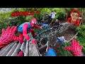 8 Spider-Man Bros Explore Abandoned Mansion \u0026 Encounter Annabelle DOLL ( Mystery POV )