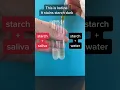 AMYLASE ACTIVITY