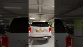 Hyundai Palisae 2022