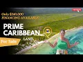 San Pedro Belize Beachfront Land for Sale Caribbean Front Lot w Seller Financing