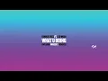 DENNIS CRUZ FEAT LEO WOOD - WHAT YOU DOING (ORIGINAL MIX)