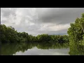 Download Lagu Balikpapan Weekend Trip pt. 2 - Teluk Balikpapan rasa Sungai Amazon