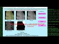Corn Leaf Disease Detection Using Image Processing Python Code Deep Learning CNN Project Code