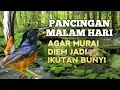 Download Lagu SUARA PANCINGAN MURAI BATU biar Emosi jadi NYAUT GACOR bunyi bongkar isian | TERAPI MURAI BATU 