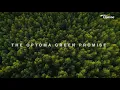 Download Lagu The Optoma Green Promise