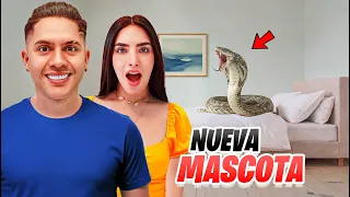Nuestra NUEVA MASCOTA es Una SERPIENTE