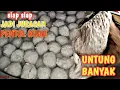 Download Lagu BONGKAR RAHASIA NYA DI SINI, Resep pentol kuah Bakso Rp.5.000 kenyal kres jajanan semua kalangan.