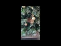 Happy Holidays and Blessings for a Prosperous 2021 To you All