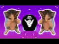 DJ KICAU KICAU KICAU MANIA SLOW VIRAL TIKTOK FULL SONG MAMAN FVNDY 2026