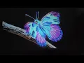 HP CC200 Projector Demo 95 Screen