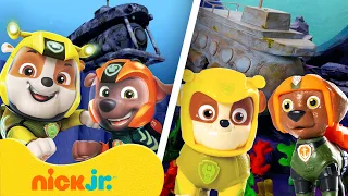 Patrulha Canina | Os Filhotes Aquáticos Salvam o Recife! 🐶🌊 | Nick Jr. Português