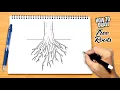 How to draw Tree Roots