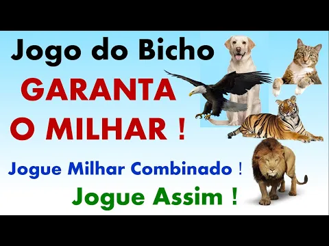 Download MP3 Jogo do Bicho - Garanta o Milhar usando Esta Estratégia! Milhar Combinado.