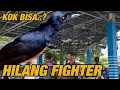 Lagu INI PENYEBABNYA‼️FIGHTER MELEMAH PADA MURAI BATU