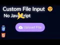Custom File Input With Just HTML CSS No JS