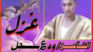 ١١ يناير ٢٠٢٠ 1 