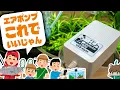 Download Lagu 【2025年新商品】水作USBエアポンプ「モバイルエア1000」と水心SSPP-3S・ニッソーMUTE DC600を徹底比較レビュー！【ビバアクア】#アクアリウム #熱帯魚