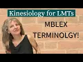 Kinesiology Terminology You MUST Know for the MBLEx Massage Therapy Study Guide