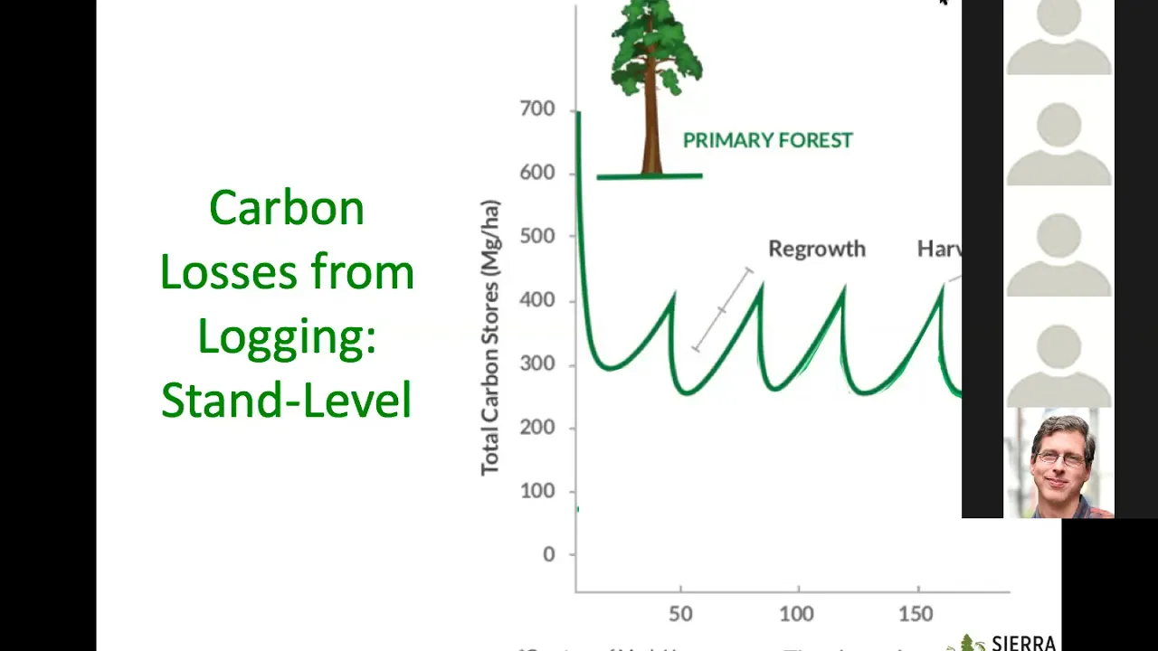 Wood, Forests & Embodied Carbon webinar Nov14 2019