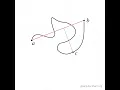 GIS in 60s Douglas-Peucker algorithm