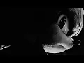 GREAT GUY - ASAKE