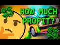 My Indie Steam Game Launch Results Devlog 1