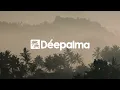 Tube & Berger, Mat.Joe & Tex Amos - Now Is Not Forever (Extended Mix) [Déepalma Records]