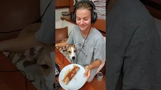 no ups without some downs ⛵🐕 #shorts