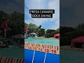 Download Lagu Presa Canario UKC Dock Jumping | 17'3\