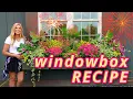 Window Box Container Gardening with Varieties Maintenance Tips Grower Secrets Happy 4th of July