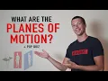 What are the Planes of Motion Frontal Plane Sagittal Plane Transverse Plane Exercise Examples