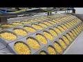 Amazing Ramen Manufacturing Process at Korean Instant Noodle Factory