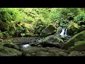 Azorean Cascades at Golden Hour – Rushing Water Sounds for Sleep & Relaxation | 4K HDR Nature