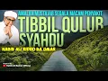 Download Lagu Sholawat Tibbil Qulub | Sholawat Tibbil Qulub Merdu |  Sholawat Tibbil Qulub Tampa Musik