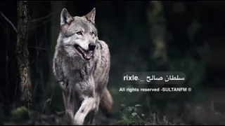 معزوفه استكنان البانيه        مطلوبة دندنها
