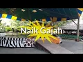 Download Lagu Balita Lucu Naik Gajah Di Taman safari Bogor | Lagu Anak |