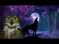 Download Lagu wolves howling sound, wolf sound, owl hooting, owl hoot, owl sound effect