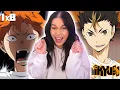 Download Lagu ENTER NISHINOYA 🔥│ FIRST TIME Reaction to HAIKYUU S1 Ep 8