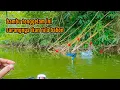 Download Lagu PEMANCING PINGGIRAN TIDAK TAHU BAMBU TENGGELAM SARANGNYA IKAN BABON || mancing ikan nila babon