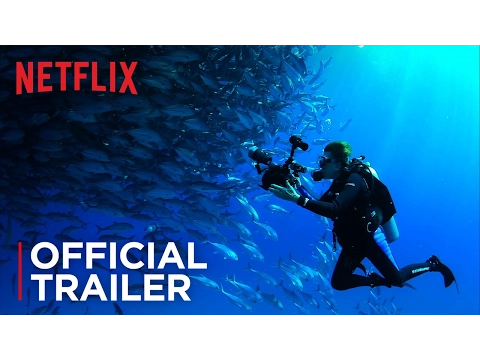Official Trailer