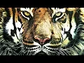 Download Lagu Raise The Energy of Male Genital Chakra and Fill Yourself with Passion - Tantric Meditation Music